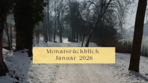 Monatsrückblick Januar 2026 von Sylvia Nischkowski