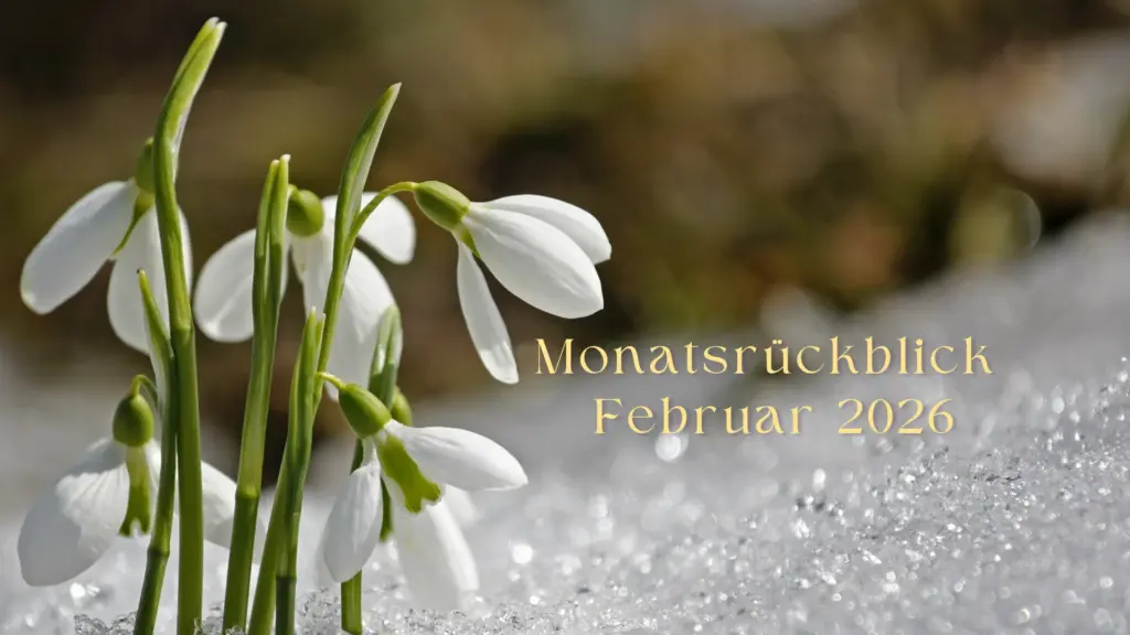 Monatsrückblick Februar 2026 von Sylvia Nischkowski