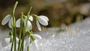 Monatsrückblick Februar 2026 von Sylvia Nischkowski