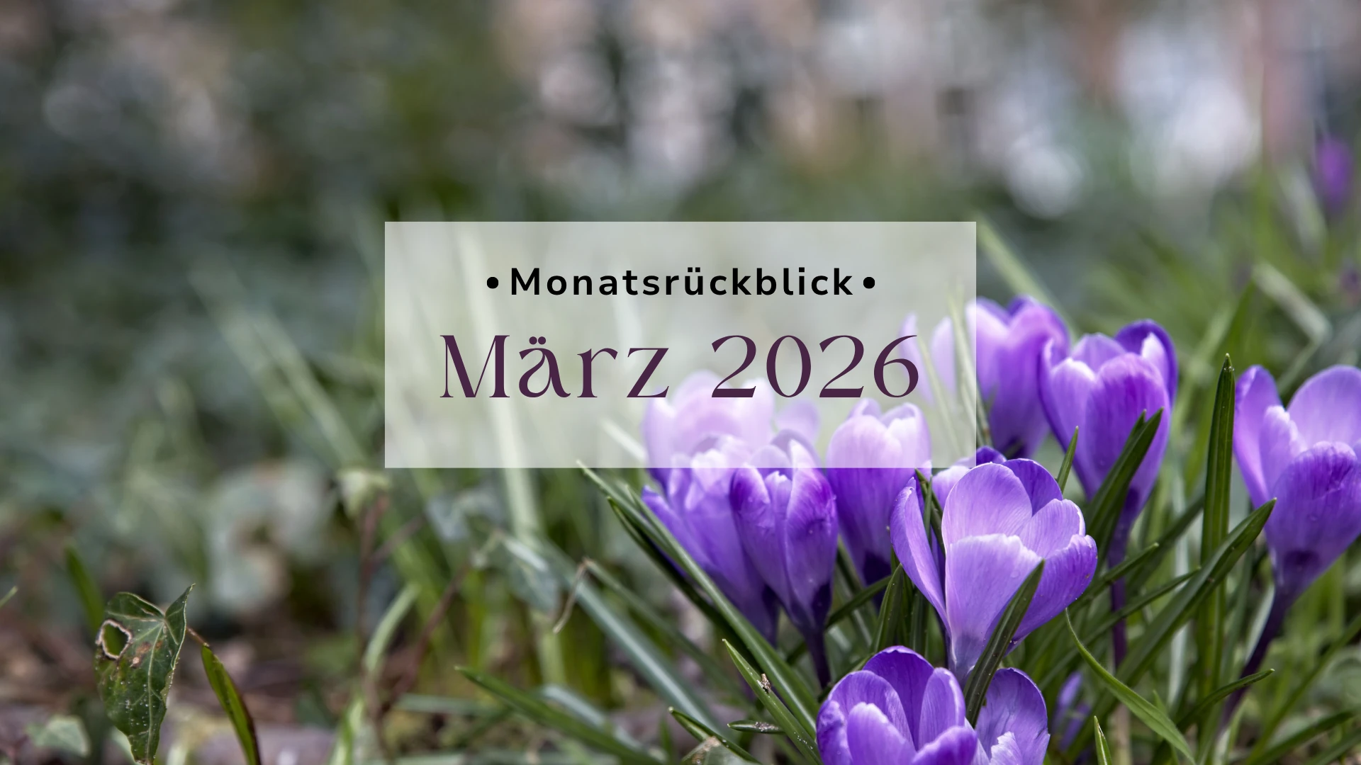 Monatsrückblick März 2026