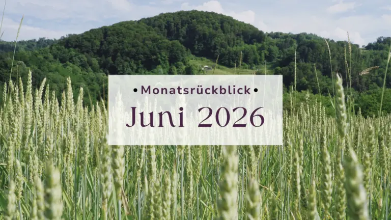 Monatsrückblick Juni 2026