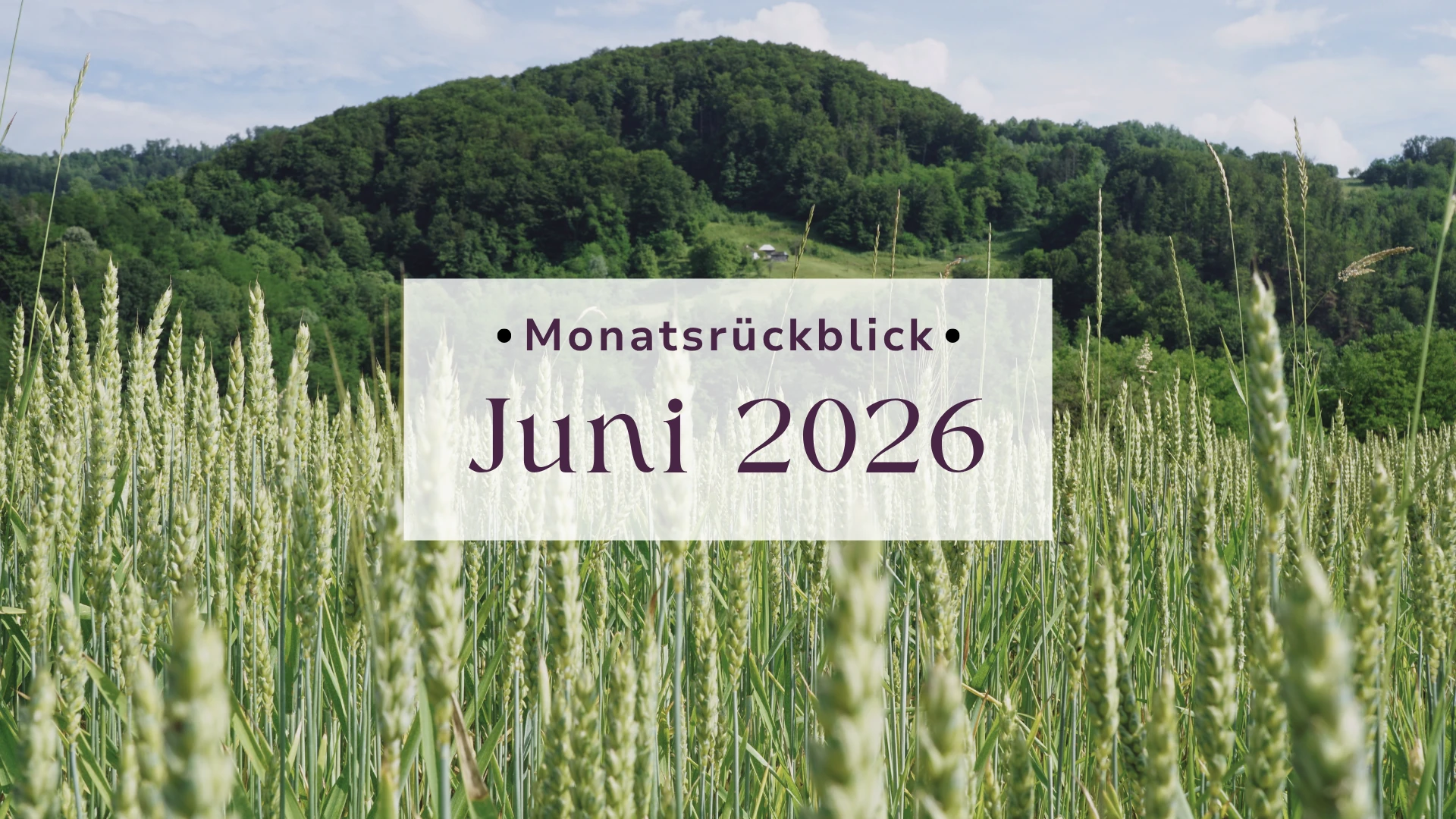 Monatsrückblick Juni 2026